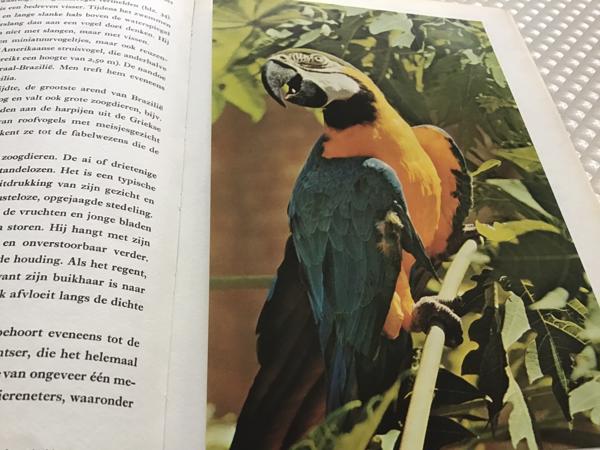 Boek van Braziliè prachtig land om te reizen de moeite waard