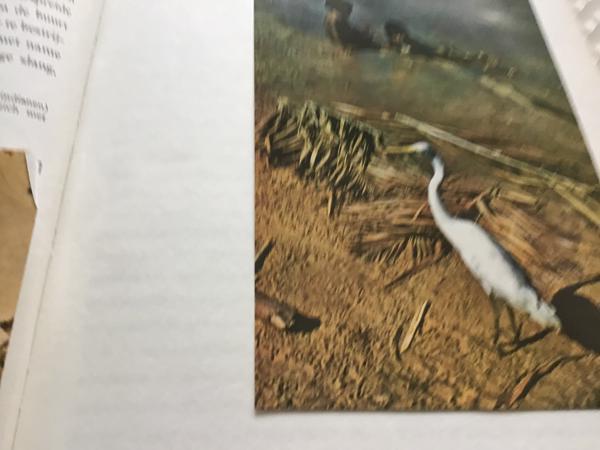 Boek van Braziliè prachtig land om te reizen de moeite waard