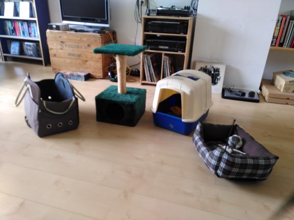 Kattenuitzet