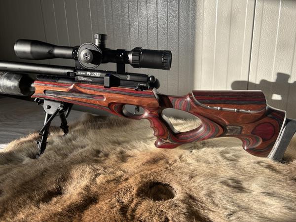 BSA R-10 SE 4,5mm Custom HFT-FT Ready