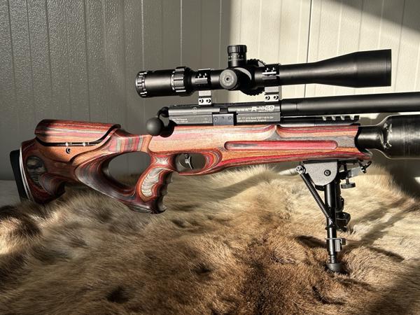 BSA R-10 SE 4,5mm Custom HFT-FT Ready