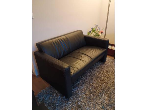 2 zwarte banken, 2 zwarte bijzettafels, grijs hoogpolig tapijt