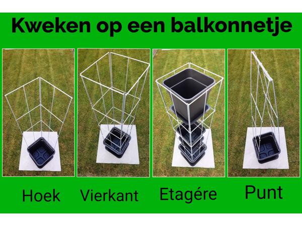 AARDBEIEN TOREN of met framboos bessen en ander kleinfruit