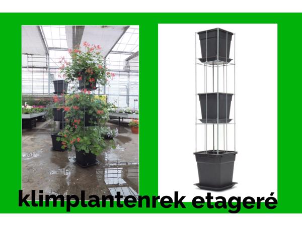 AARDBEIEN TOREN of met framboos bessen en ander kleinfruit