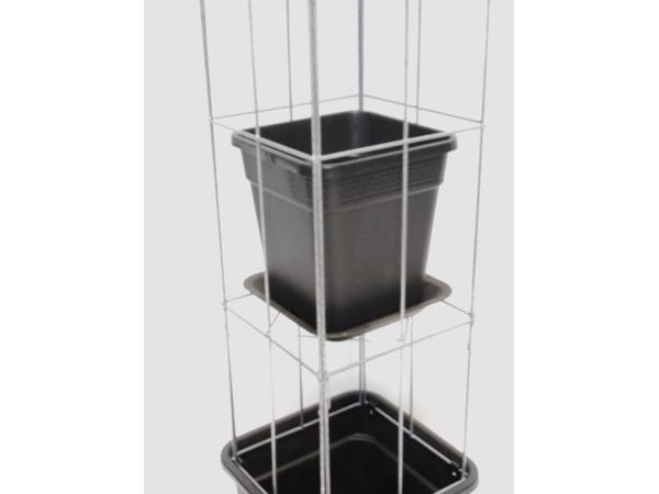 AARDBEIEN TOREN of met framboos bessen en ander kleinfruit