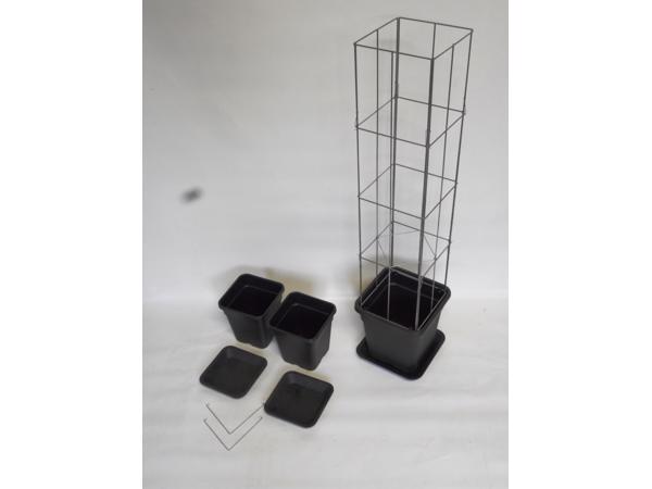 AARDBEIEN TOREN of met framboos bessen en ander kleinfruit