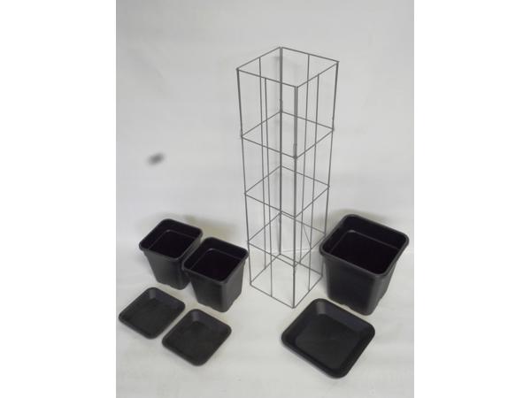 AARDBEIEN TOREN of met framboos bessen en ander kleinfruit