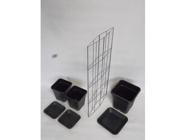 AARDBEIEN TOREN of met framboos bessen en ander kleinfruit