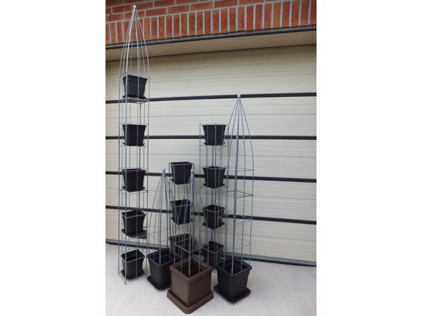 AARDBEIEN TOREN of met framboos bessen en ander kleinfruit