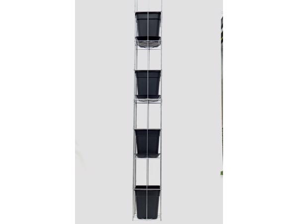 AARDBEIEN TOREN of met framboos bessen en ander kleinfruit