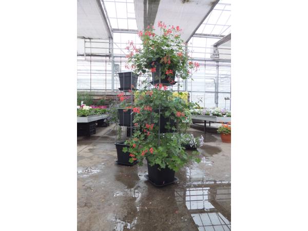 AARDBEIEN TOREN of met framboos bessen en ander kleinfruit