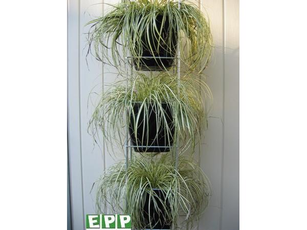 AARDBEIEN TOREN of met framboos bessen en ander kleinfruit