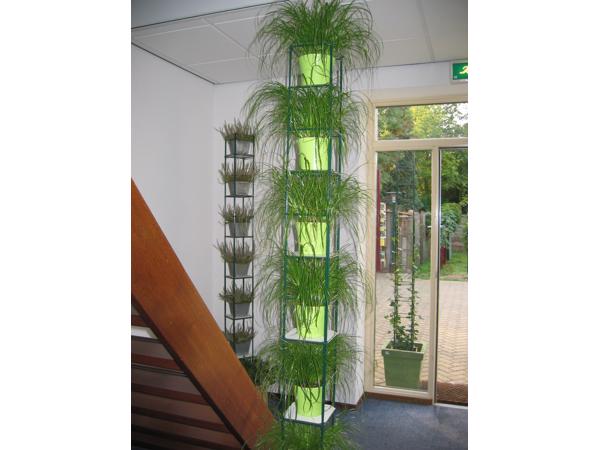 AARDBEIEN TOREN of met framboos bessen en ander kleinfruit