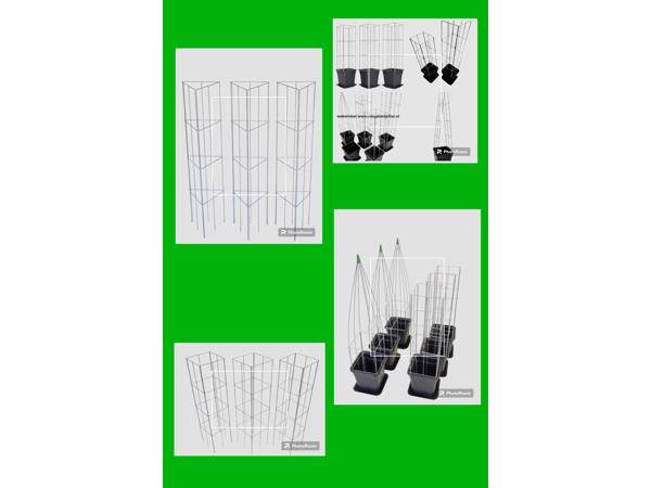 AARDBEIEN TOREN of met framboos bessen en ander kleinfruit