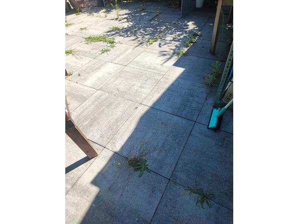 Betontegels Antraciet 60 x 60 x 5 cm