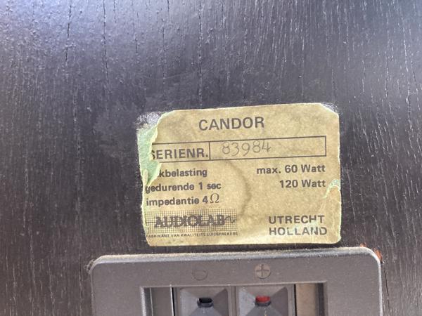 Audiolab Candor stereo speakers