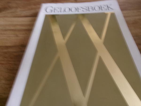 Geloffsboek XX ( de bisschoppen van Belgie)