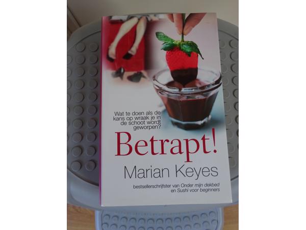Betrapt !! van bestsellerschrijfster Marian Keyes ( 476 blz)