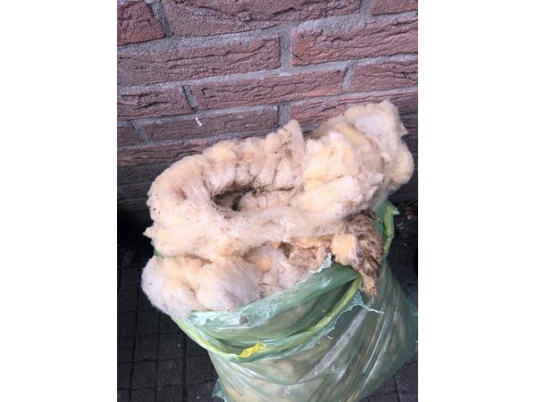 5 kilo verse schapenwol