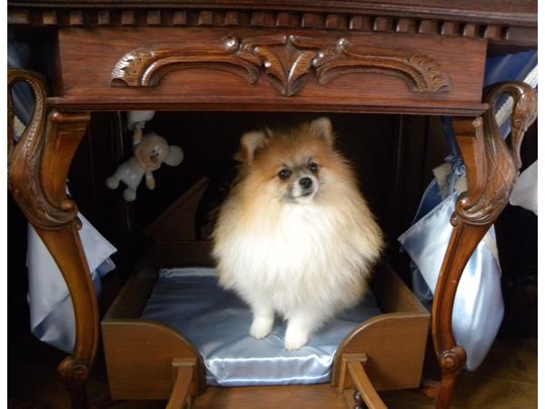 Eikenhouten honden hemelbed