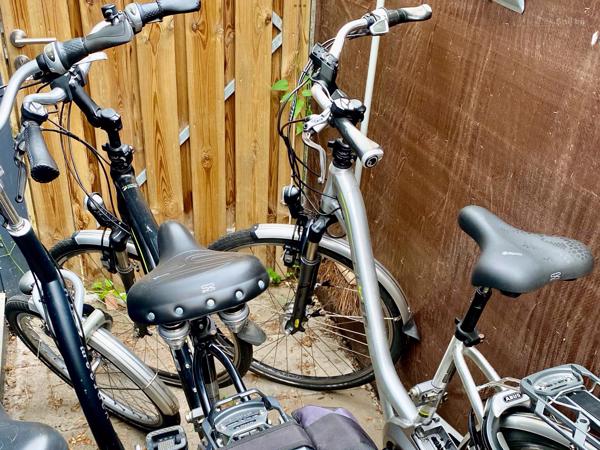 Partij Flyer Elektrische Fietsen + Van Raam Balance €2900