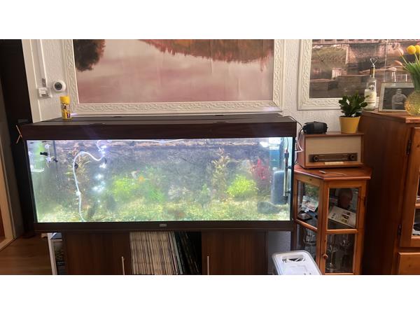 Juwel aquarium