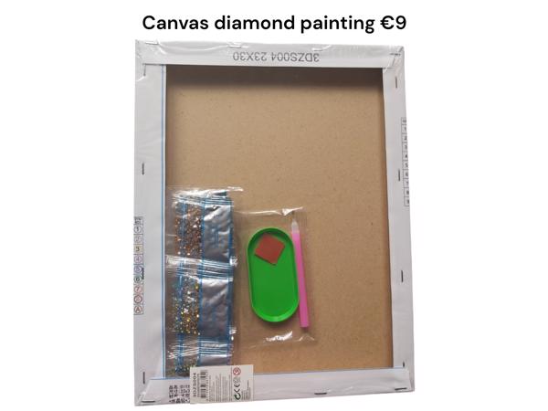 Diamond Painting Princess met houten frame 30x23cm