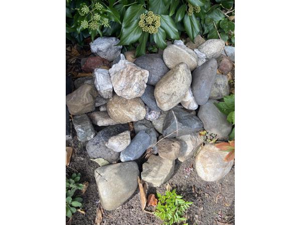 Zo’n 90 à 100 veldkeien in diverse kleuren en grootte. Tussen de 10 en 25 cm