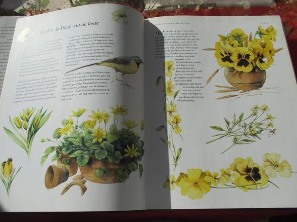 M. Bastin en Fr. Buissink  -  Vier Seizoenen