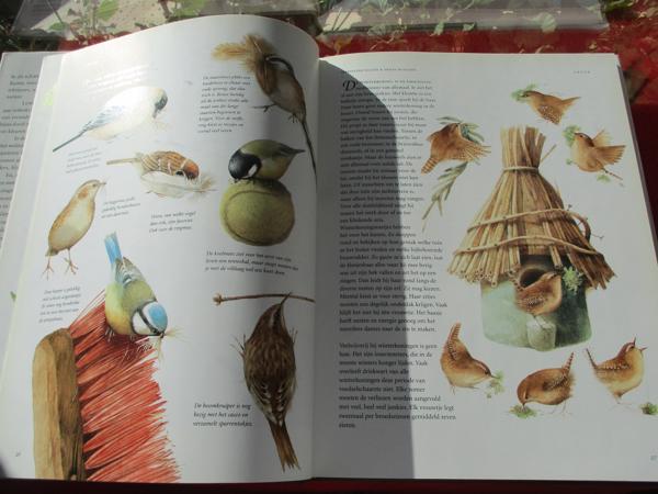 M. Bastin en Fr. Buissink  -  Vier Seizoenen