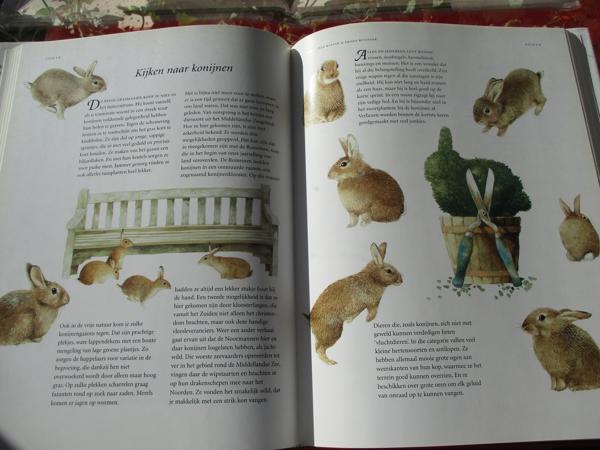 M. Bastin en Fr. Buissink  -  Vier Seizoenen