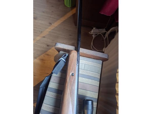 Benjamin trail NP 5.5 mm