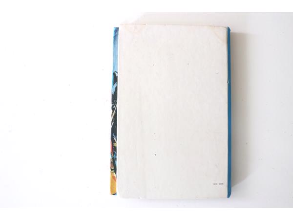 Verdere avonturen van Robin Hood - Henri van Hoorn 122 blz.