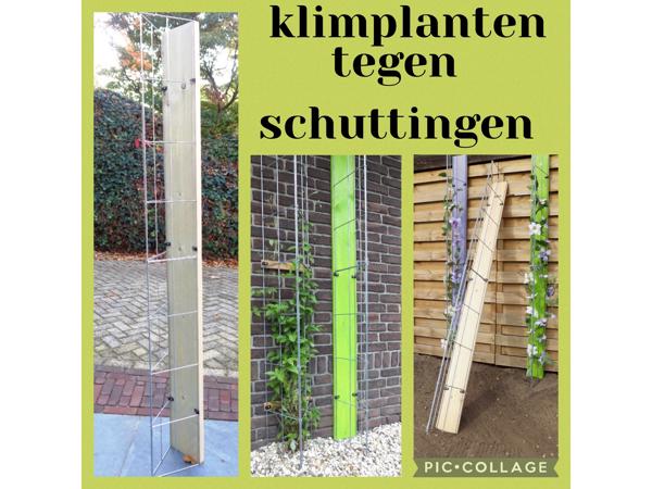 PLANTENSTEUN rozen roos tuinrozen klimrozen clematis hedera