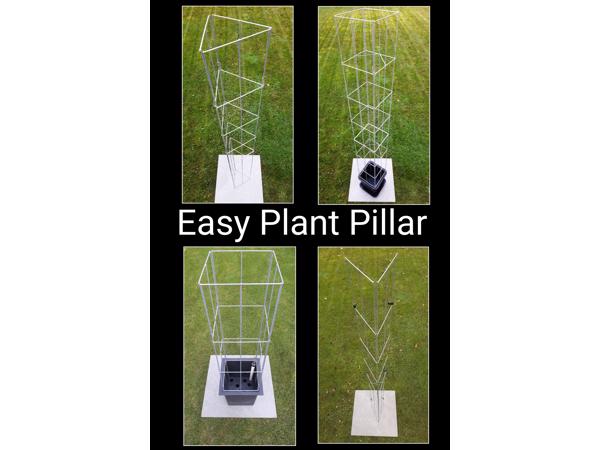 PLANTENSTEUN rozen roos tuinrozen klimrozen clematis hedera