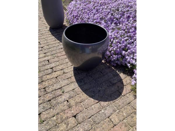 Diverse bloempotten
