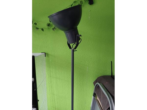 Grote stalamp en kleine tafellamp.