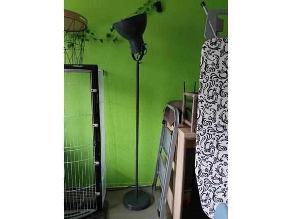 Grote stalamp en kleine tafellamp.