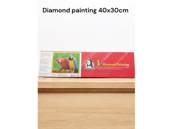 Diamond Painting Pakket - Papegaaien | Ara's - 40x30 cm - Co