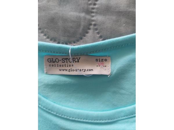 Glo-Story t-shirt flamingo's turquoise 98