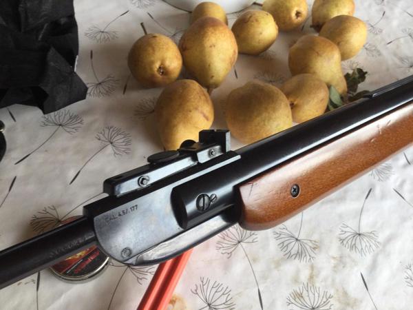 diana 35 4.5 mm in orginele top staat