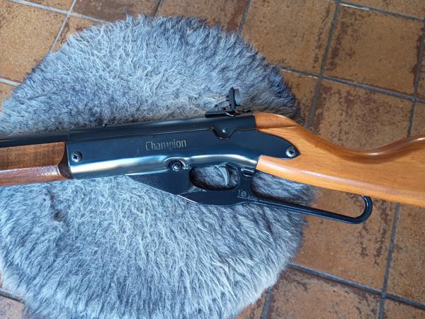 Daisy Champion 99 BB matchbuks 1974