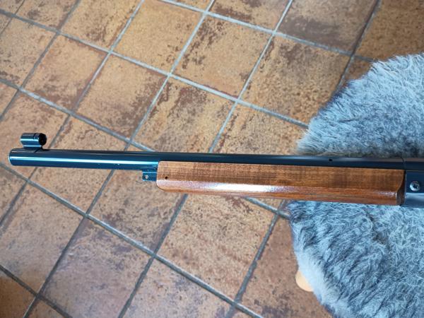 Daisy Champion 99 BB matchbuks 1974