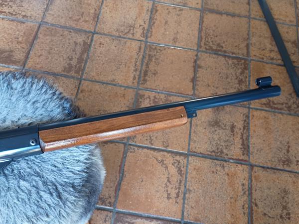 Daisy Champion 99 BB matchbuks 1974