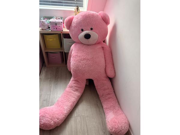Grote knuffelbeer