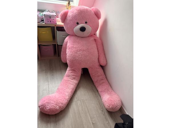 Grote knuffelbeer
