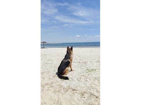 met kleine groep camperaars naar Griekenland 6 wkn. mei/juni