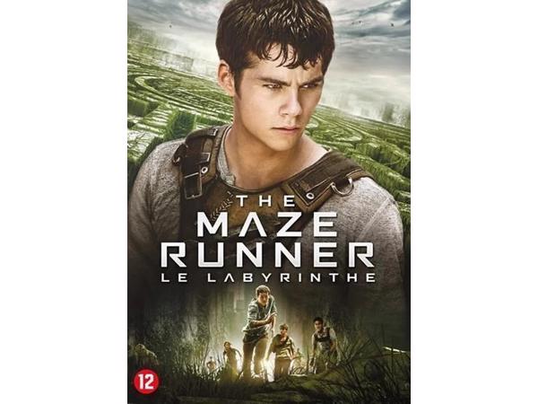 Maze Runner    (DVD)