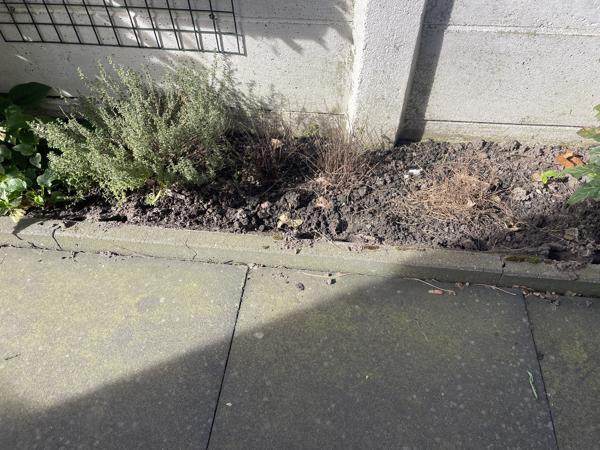 Grote terrastegels 60x60