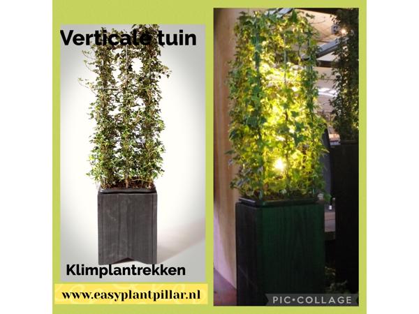 Plantensteunen draadrekken klimplantensteun plantenrek